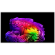 LED-телевізор LG OLED55G64LW  (7269870)
