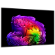 LED-телевізор LG OLED65G64LW  (7269873)